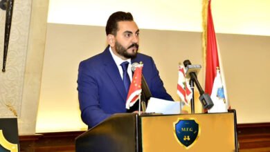 صورة توضيحية - دكتور علي المصري لبنان خسر ارثاً سياسياً سنياً كبيراً !