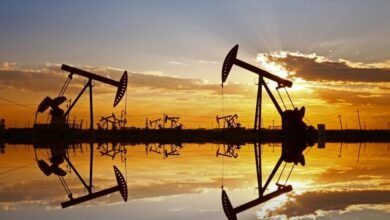 إنتاج سلطنة عُمان النفطي يرتفع 10% في 11 شهراً