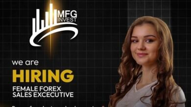 صورة توضيحية - معلومات موثوقة عن شركة MFG invest (MFG Invest Ltd)