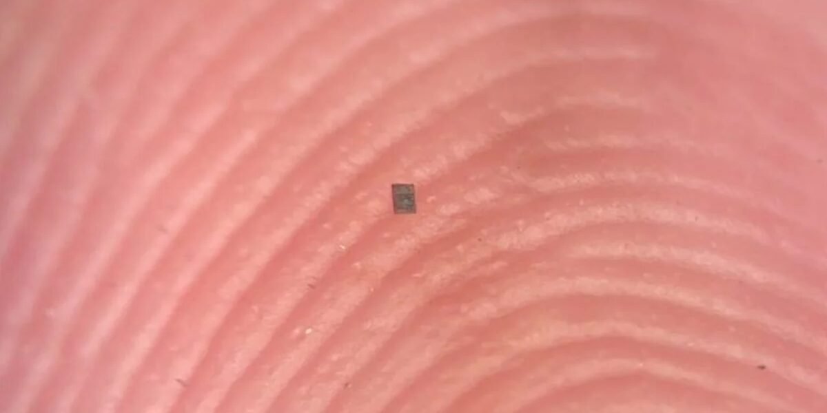 أصغر روبوت قابل للبرمجة في العالم بالكاد يمكن رؤيته ScienceAle